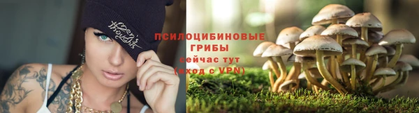 дмт Нефтегорск