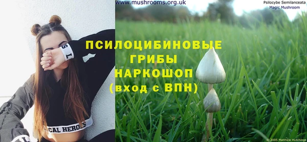 синтетический гашиш Гусь-Хрустальный
