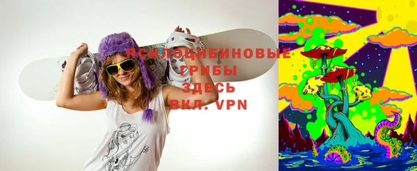 синтетический гашиш Гусь-Хрустальный