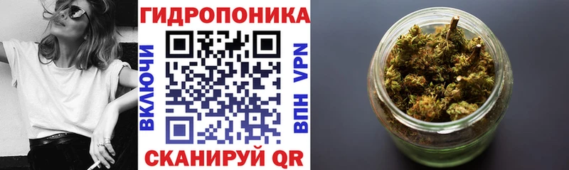 Конопля план  Павловск 